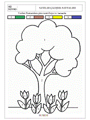 verilen sayıya göre boyama çalışma sayfaları